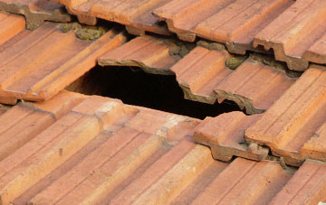 roof repair Lower Maes Coed, Herefordshire